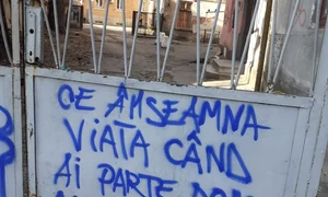 Cu ochii n 3,14 jpeg