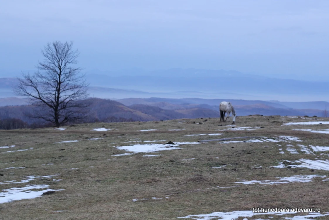 Parcul Natural Grădiştea Nuncelului Cioclovina. FOTO