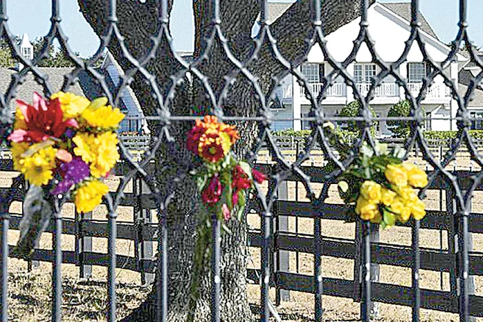 Larry Hagman, în urmă cu două săptămâni la lansarea ultimei ecranizări “Dallas”( Fotografii: Reuters/afp/Wireimages)