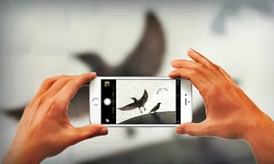 cele mai bune fotografii facute cu iphone 1170x644 jpeg