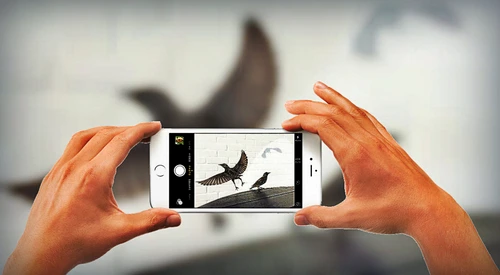 cele mai bune fotografii facute cu iphone 1170x644 jpeg