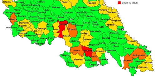 Repartizarea cazurilor de abandon şcolar FOTO IŞJ Iaşi