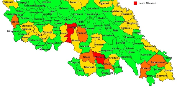 Repartizarea cazurilor de abandon şcolar FOTO IŞJ Iaşi 