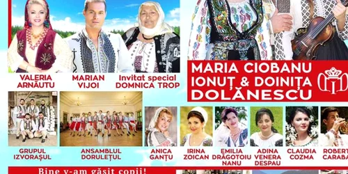 campanie voluntariat severin 