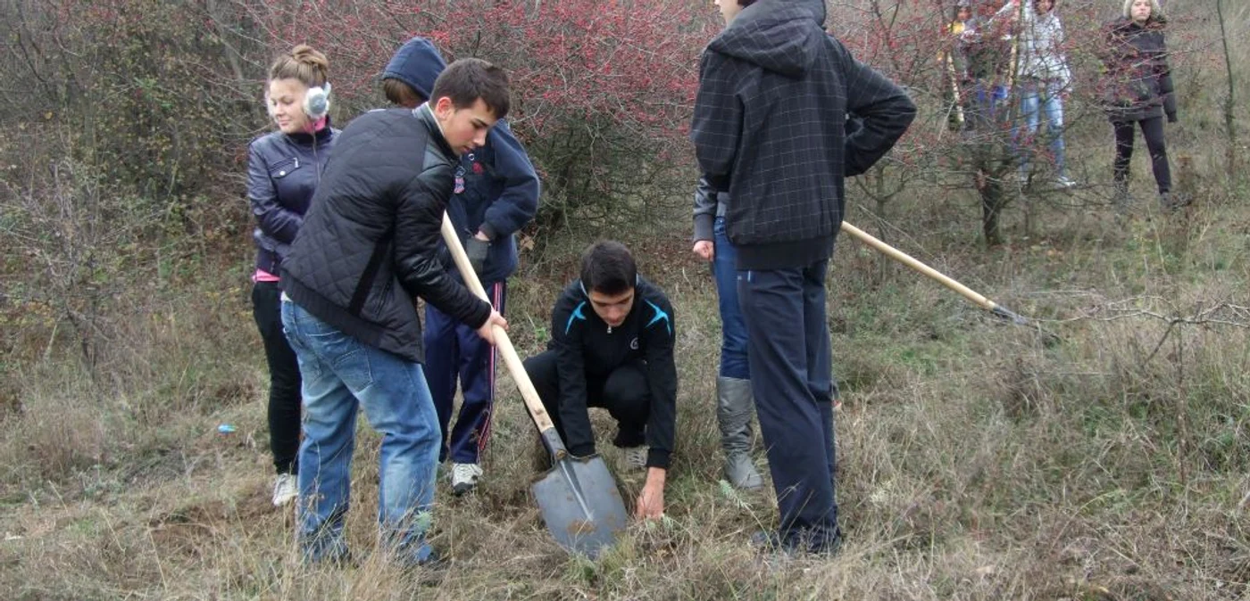 Elevii tulceni aun plantat copaci FOTO Palatul Copiilor Tulcea