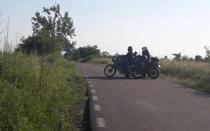 Forţele de ordine îl caută pe bucătarul criminal de la Făget FOTO Ş.Both