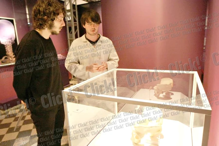 La doar 4 ani, Luca a fost fascinat de modul cum arată corpul uman fără piele (Fotografii: Dorin Constanda)