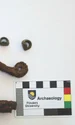 Noi descoperiri de excepție ale arheologilor din Argeș în situl de la Valea Stânii (© Muzeul Județean Argeș)