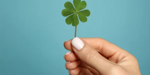 Zodii norocoase, foto shutterstock jpg