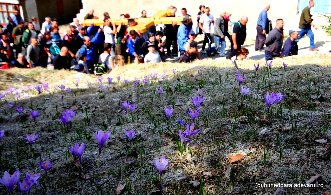Drumul Crucii în Straja. Foto: Daniel Guță. ADEVĂRUL