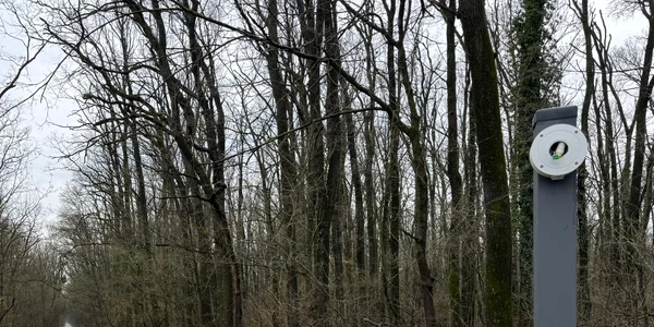 lpr vandalizat greenfield jpeg