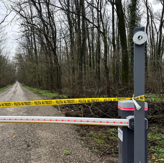 Sistemul LPR instalat pe drumul forestier Consolight–Padina a fost furat FOTO Arhivă 