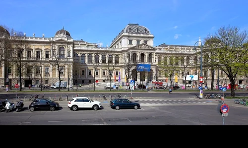Alba neagra străinătate jpeg