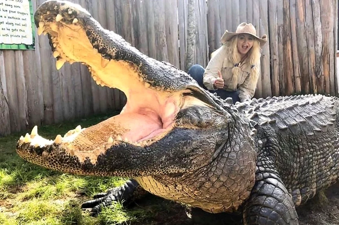 Savannah Boan are grijă de crocodili (foto: Instagram)