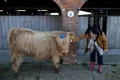 morag dumble farm afp jpg