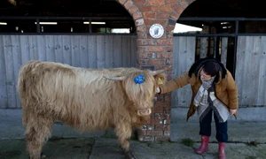 morag dumble farm afp jpg