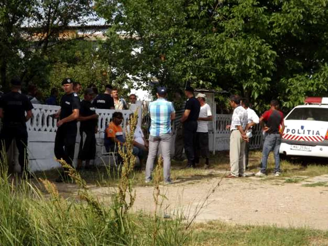cautări bătrân dispărut la tamna FOTO Corina Macavei 