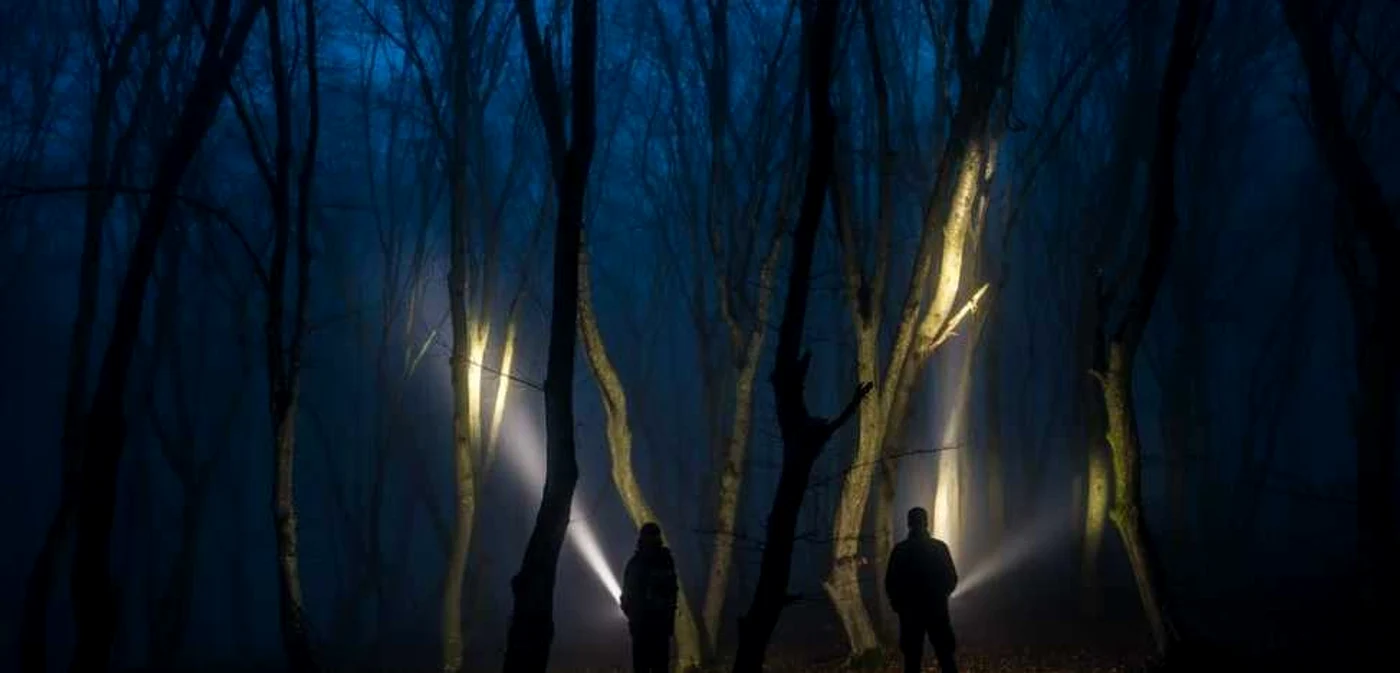 Pădurea Hoia Baciu a fost inclusă în mai multe topuri ale celor mai înfricoşătoare locuri din lume FOTO Hoia Baciu Facebook
