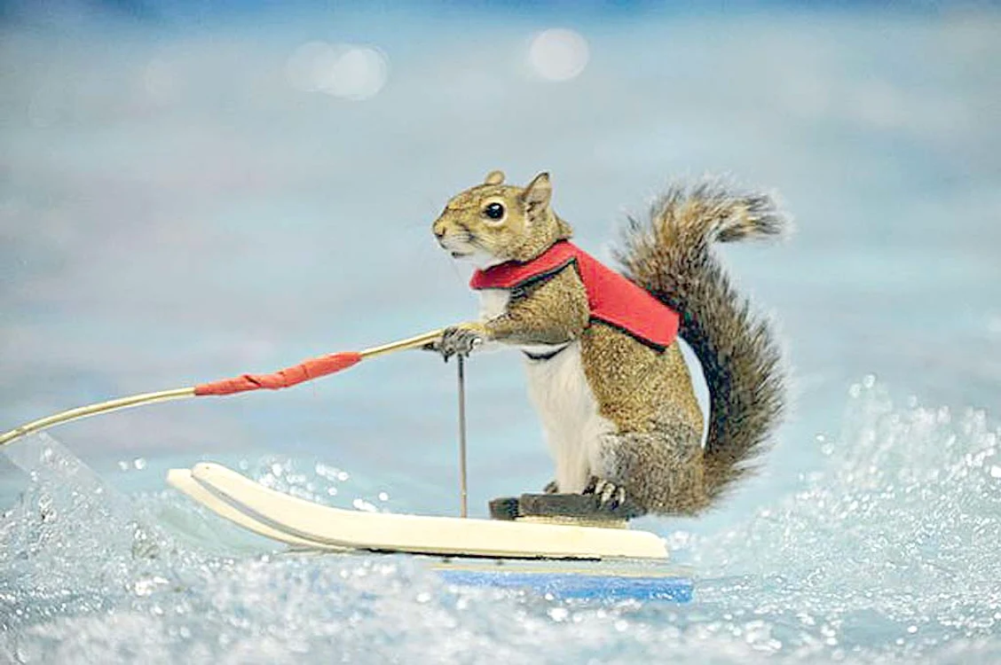 Foto: Shutterstock