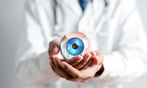 shutterstock 2302457543 jpg