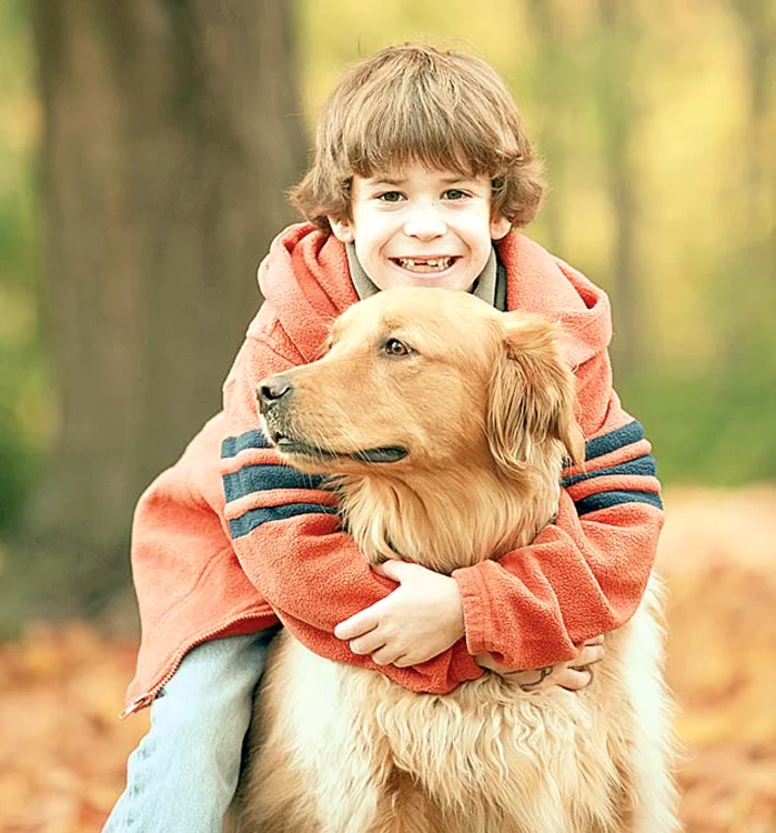 Golden Retriever
