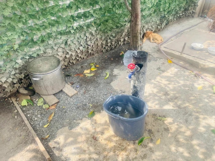 Cele 27 de persoane erau îngrijite în condiții improprii, acuză autoritățile FOTO: Prefectura Olt
