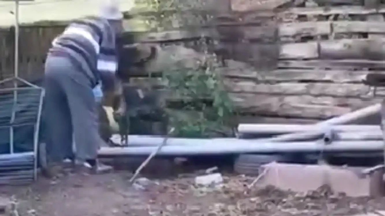 Imagini cu bătrânul care a omorât o pisică și a aruncat-o peste gard