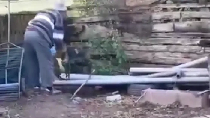 Imagini cu bătrânul care a omorât o pisică și a aruncat-o peste gard