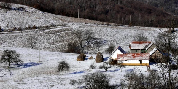 vasoaia 
