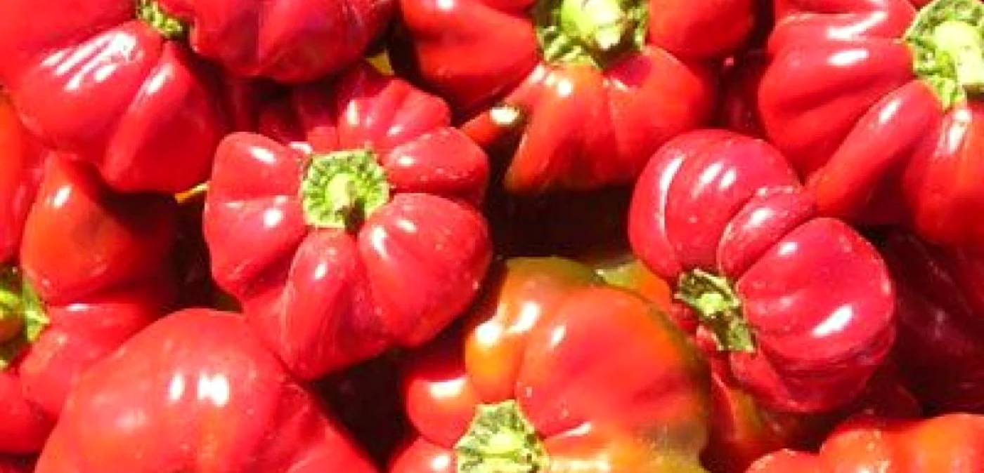 Gogoşarii, o adevărată fabrică de vitamine FOTO Adevărul