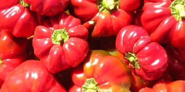 Bărbatul transporta peste două tone de gogoşari 