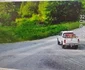 Camera video este, deja, funcţională. Foto: Direcţia Silvică Bihor