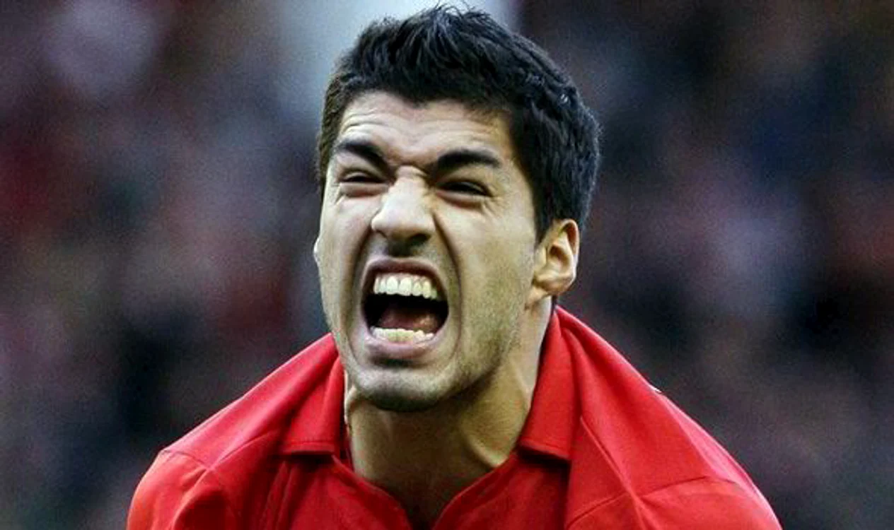 
    suarez  
