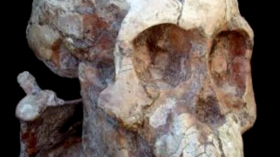 Descoperire arheologică ce ar putea revoluţiona teoriile despre apariţia omului jpeg