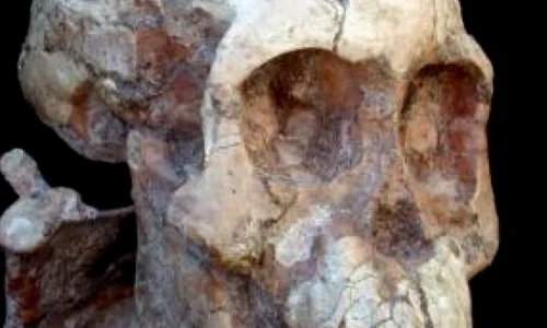 Descoperire arheologică ce ar putea revoluţiona teoriile despre apariţia omului jpeg