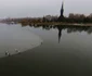 Lacul Tăbăcărie a devenit paradisul păsărilor călătoare