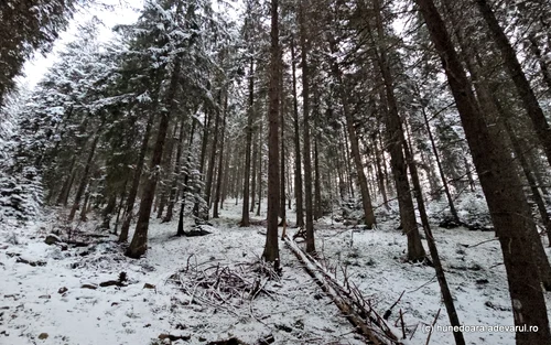 Statiunea montana Râușor din Retezat  Foto Daniel Guță ADEVĂRUL (50) jpg