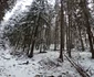 Statiunea montana Râușor din Retezat  Foto Daniel Guță ADEVĂRUL (50) jpg