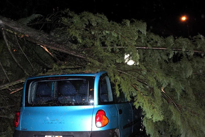 Vântul puternic a doborât mai mulţi copaci Foto: Arhivă Adevărul