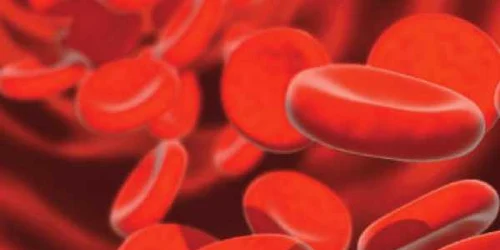 Enzimele îţi prelungesc viaţa