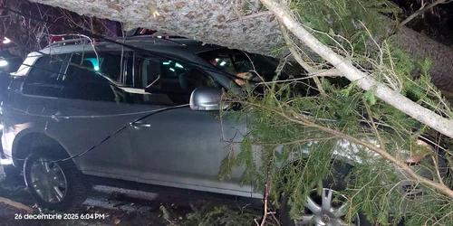 copac cazul la Sinaia foto fb Meteoplus jpg