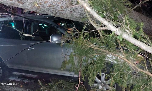copac cazul la Sinaia foto fb Meteoplus jpg