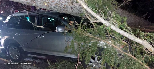 Vânt puternic la Sinaia: mai mulți copaci doborâți, un autoturism avariat