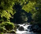 Munţii Făgăraş deţin „cea mai sălbatică vale a Europei” în Vâlcea - Valea Boia Mică Foto Agent Green - credit Matthias Schickhofer - Euro Natur