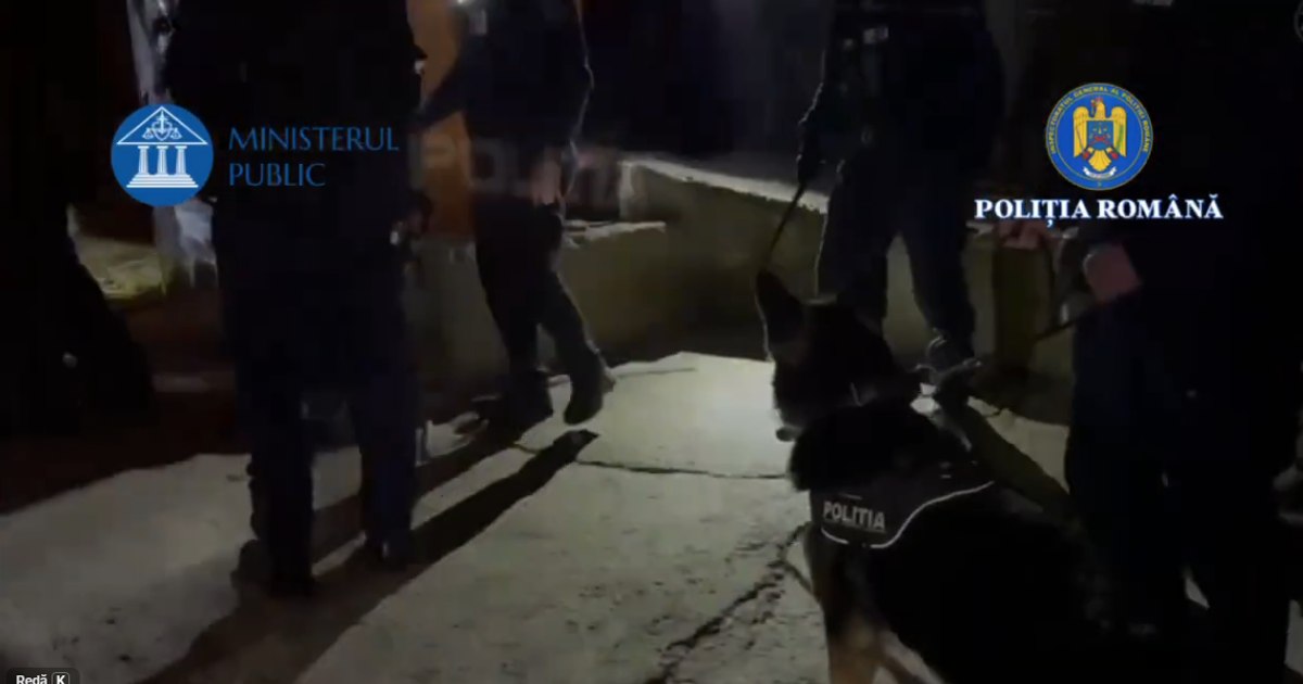 Medici bănuiți de obținerea rezidențiatului fals