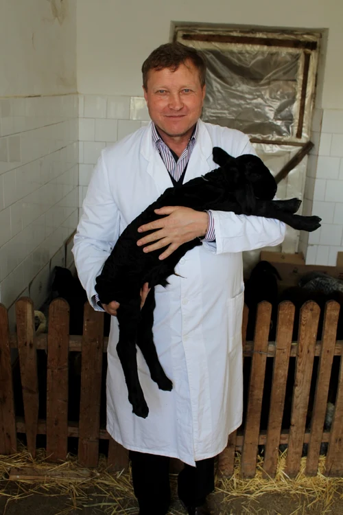 Ionică Nechifor cu un miel din rasa karakul FOTO Adevărul