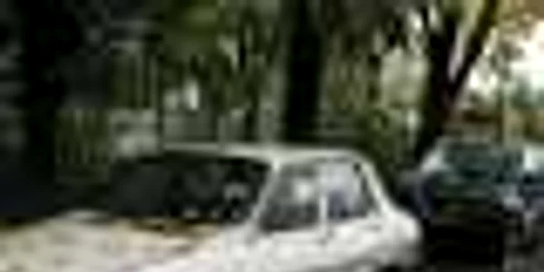 Liviu Rebreanu, strada maşinilor abandonate
