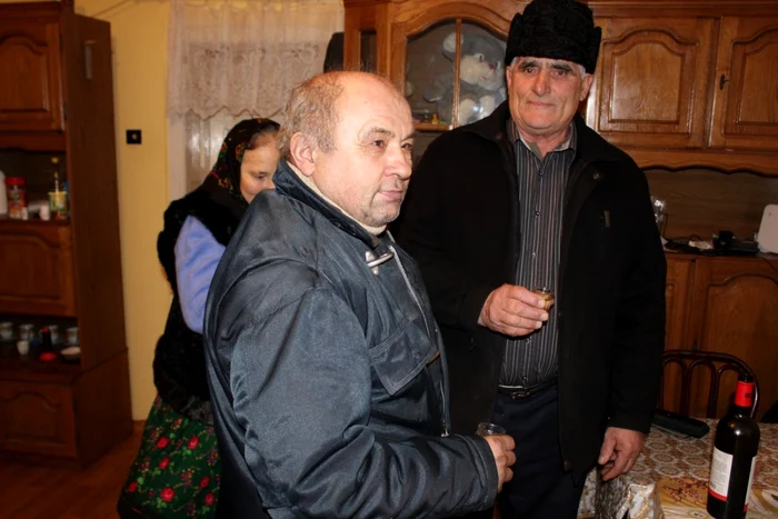 vot tara oasului