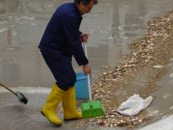 Banii din Fontana di Trevi sunt adunaţi zilnic, media fiind de 3.200 de dolari în 24 de ore. Captură