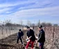 Enceanu are un stil de viață sănătos și a făcut “sport” și în propria lui grădină, la tăiat de vie și plantat de arpagic